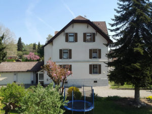 Haus